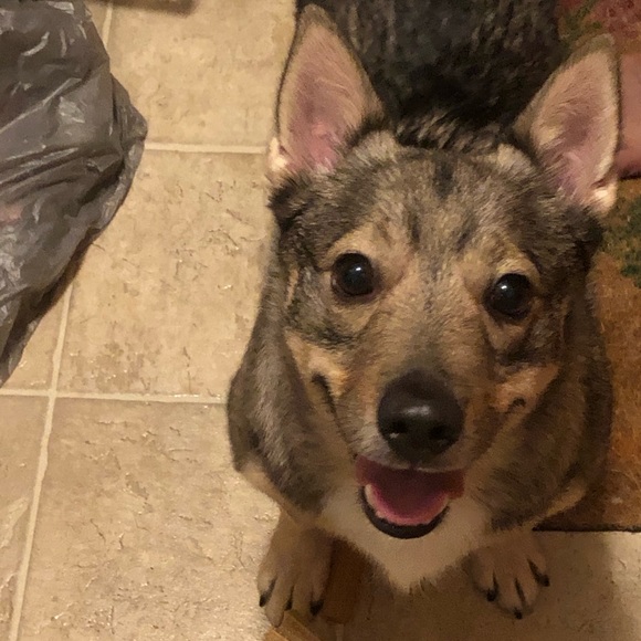 Meet your Posher, Sherida - Picture 8 of 9